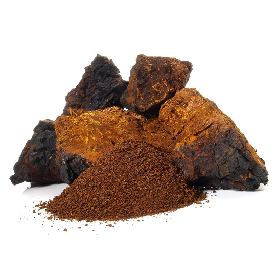 Stay Wyld Organics – Chaga Mushroom Powder (100g) - Image 4